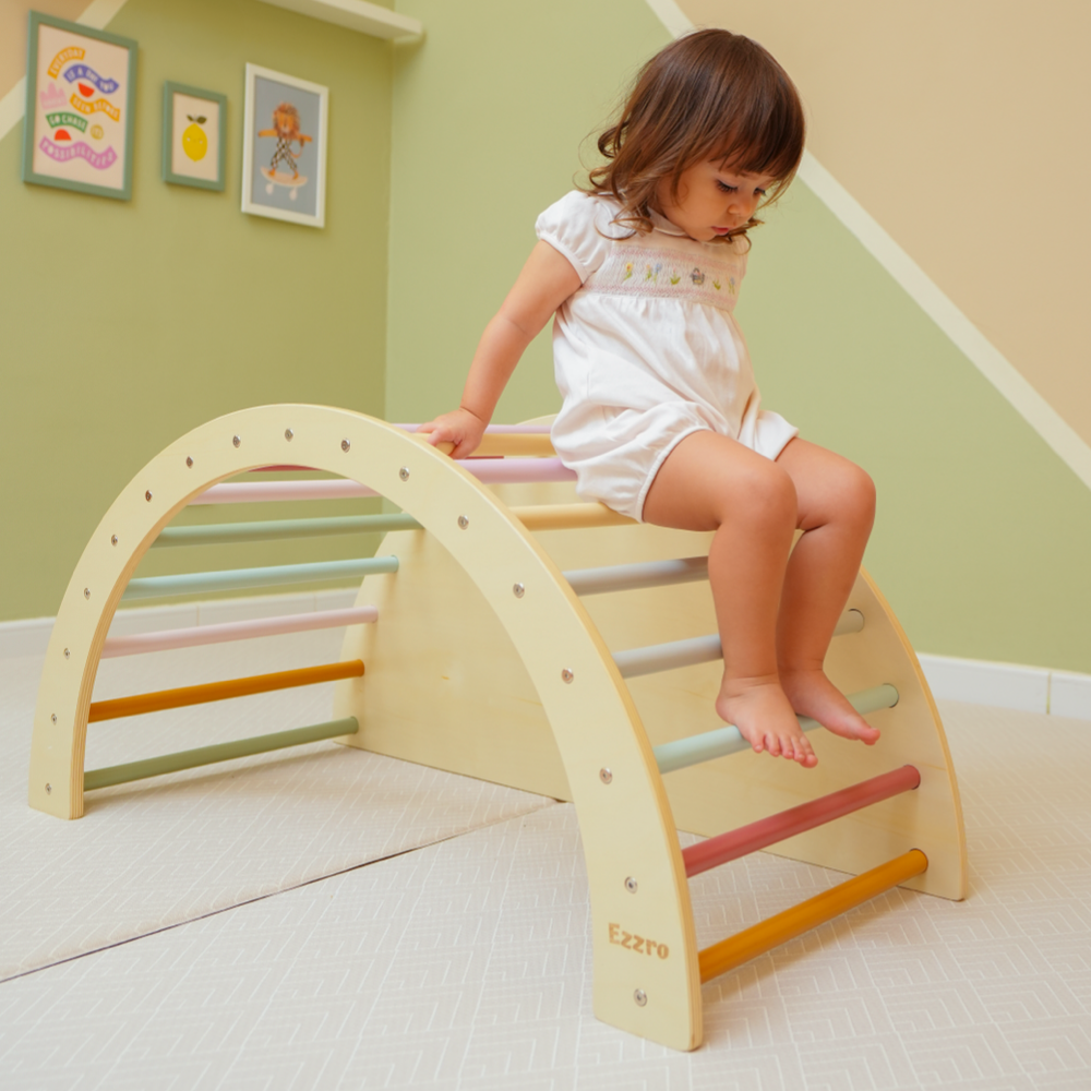 Ezzro 3 in 1 Climbing Arch