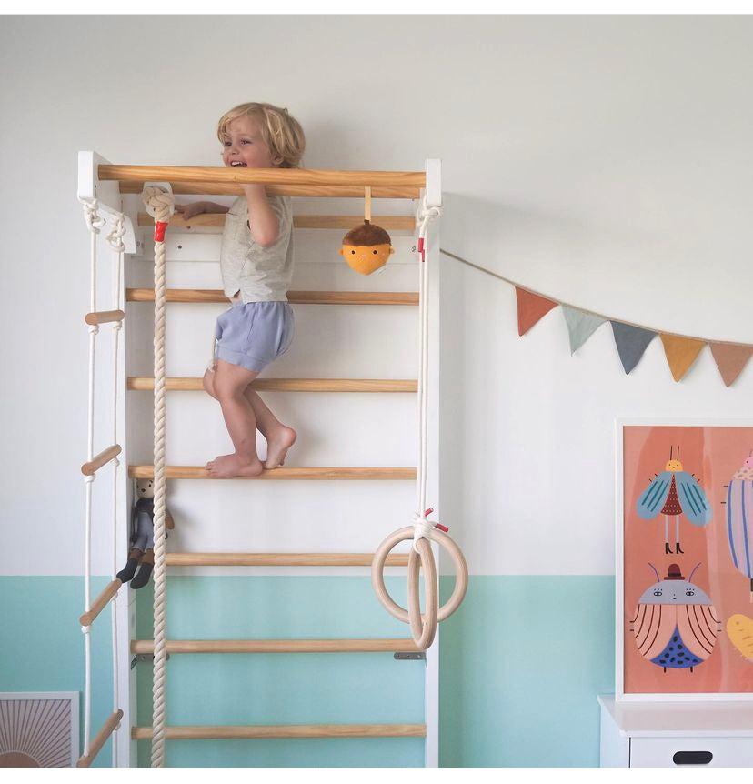 Ezzro Swedish Ladder Gym Ezzro