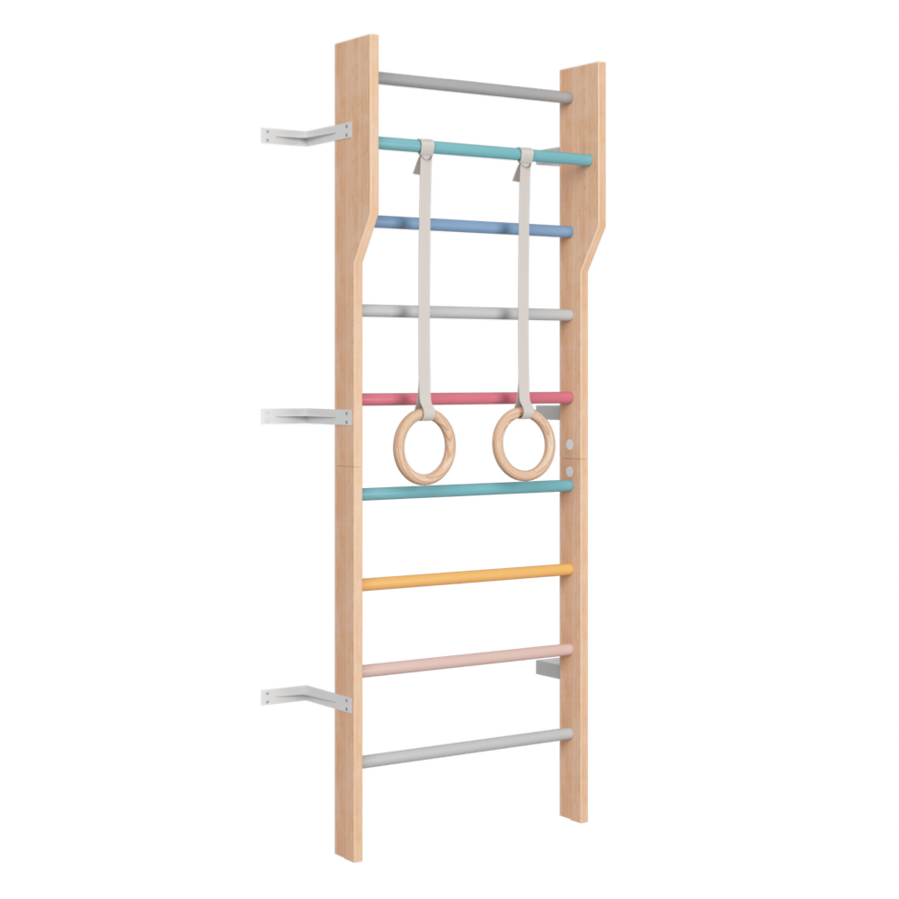 Ezzro Scandinavian Ladder Gym Multicolor Modern