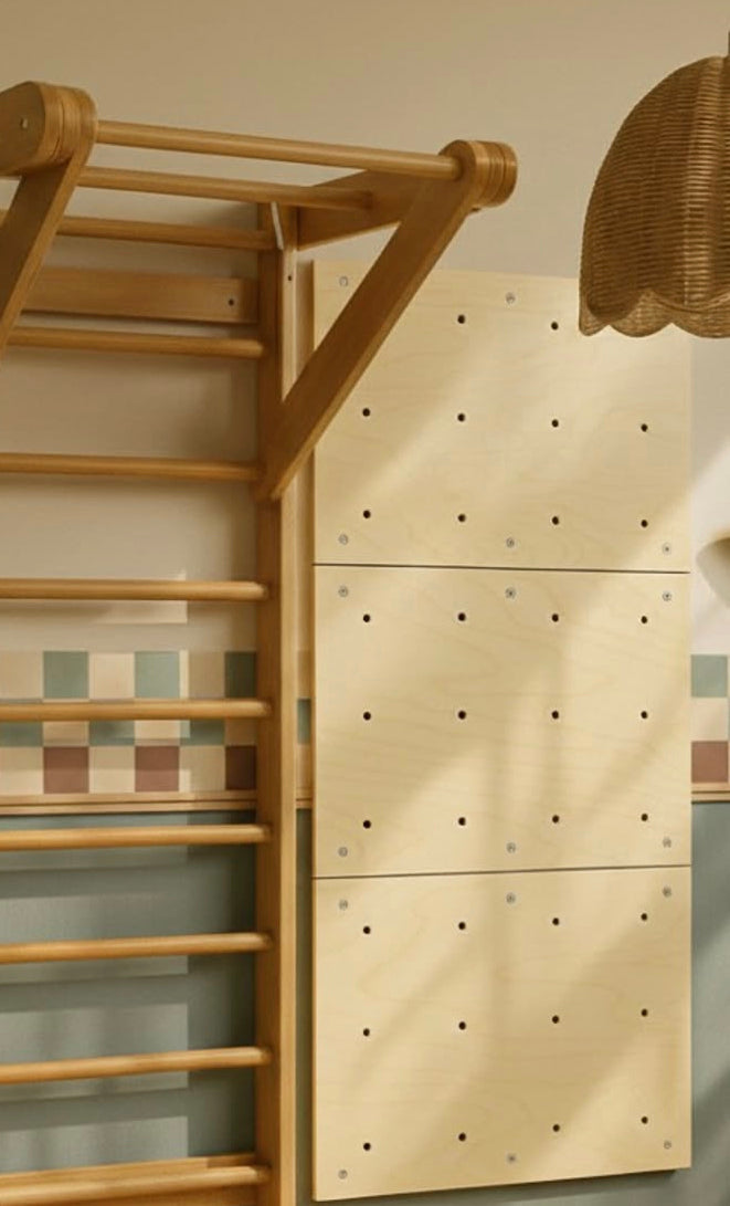 Rock Holds Wooden Climbing Wall for Kids