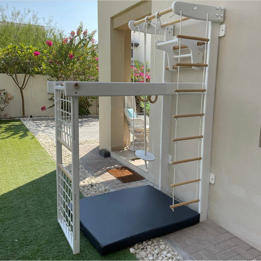 Sports- Transformer Wall Bars Varnished with Monkey Bars